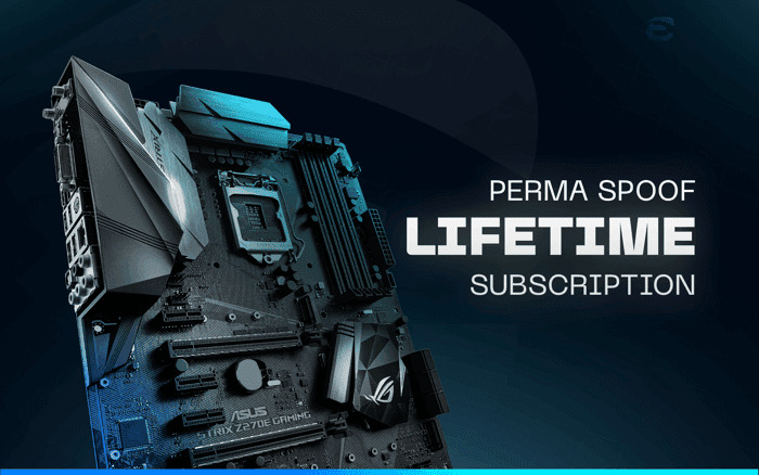 LIFETIME SPOOF | PERMANENT SPOOF | UNBAN HWID